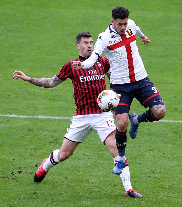 的重要组成 的重要组成